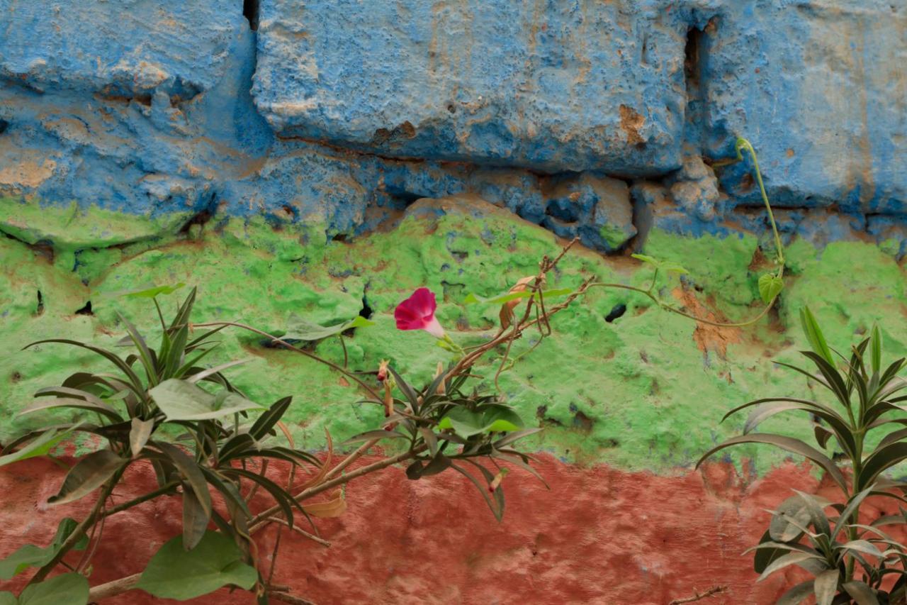 Riad Maryam Taroudant Bagian luar foto